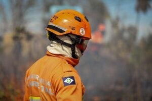 Leia mais sobre o artigo Começa período proibitivo do uso de fogo na Amazônia e Cerrado