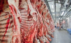 Leia mais sobre o artigo Produção recorde de carne bovina garante exportações e aumento da oferta