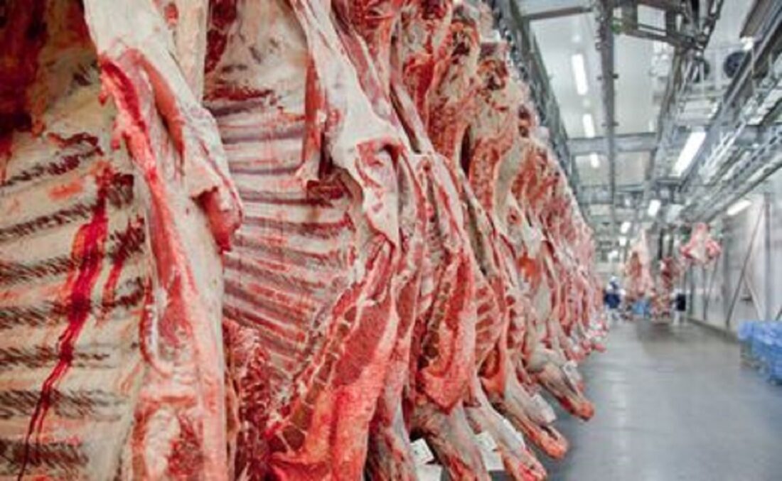 Você está visualizando atualmente Produção recorde de carne bovina garante exportações e aumento da oferta