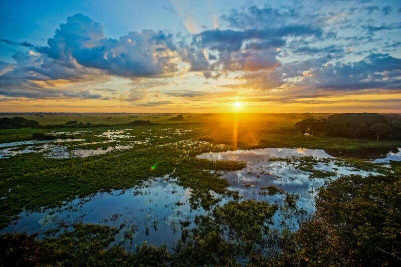 Você está visualizando atualmente Senado aprova criação do Estatuto do Pantanal