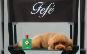 Leia mais sobre o artigo Dolce & Gabbana lança perfume para cachorro por R$ 605