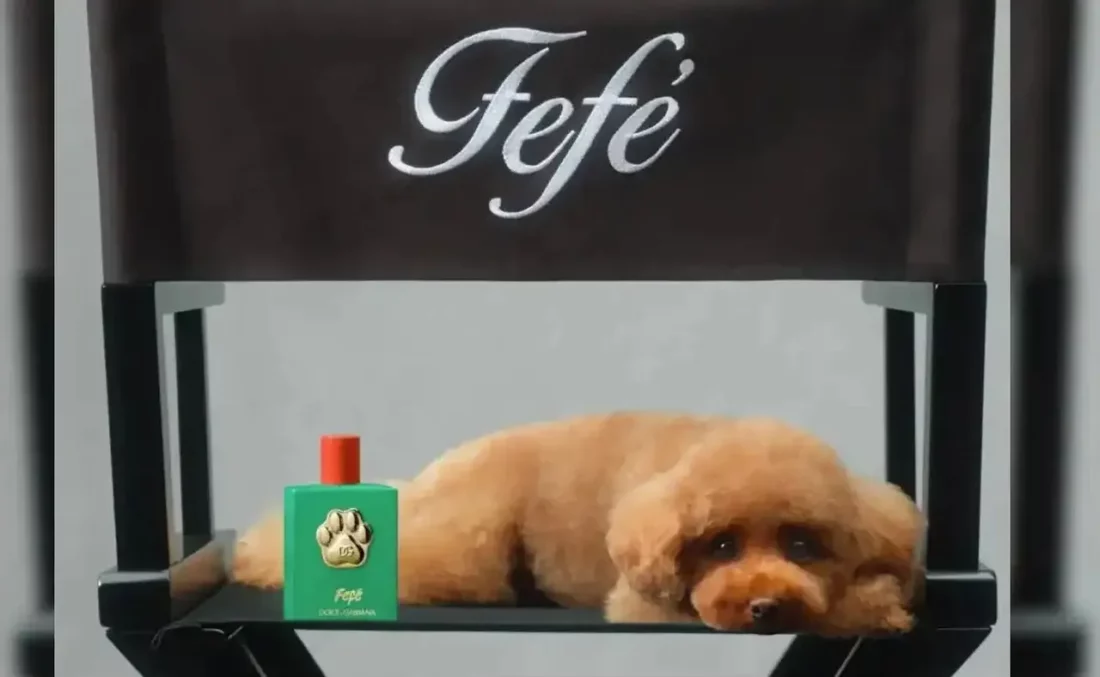 Você está visualizando atualmente Dolce & Gabbana lança perfume para cachorro por R$ 605