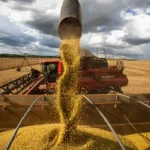 Exportações do agronegócio em julho batem recorde de US$ 15,44 bilhões