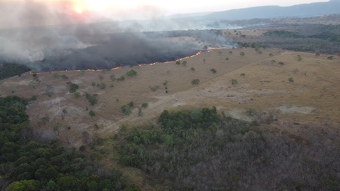 Você está visualizando atualmente Barra do Garças é o município que mais queimou áreas do Cerrado em todo o Brasil