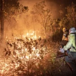 CNA vê prejuízo de R$ 14,7 bi à agropecuária por incêndios entre junho e agosto