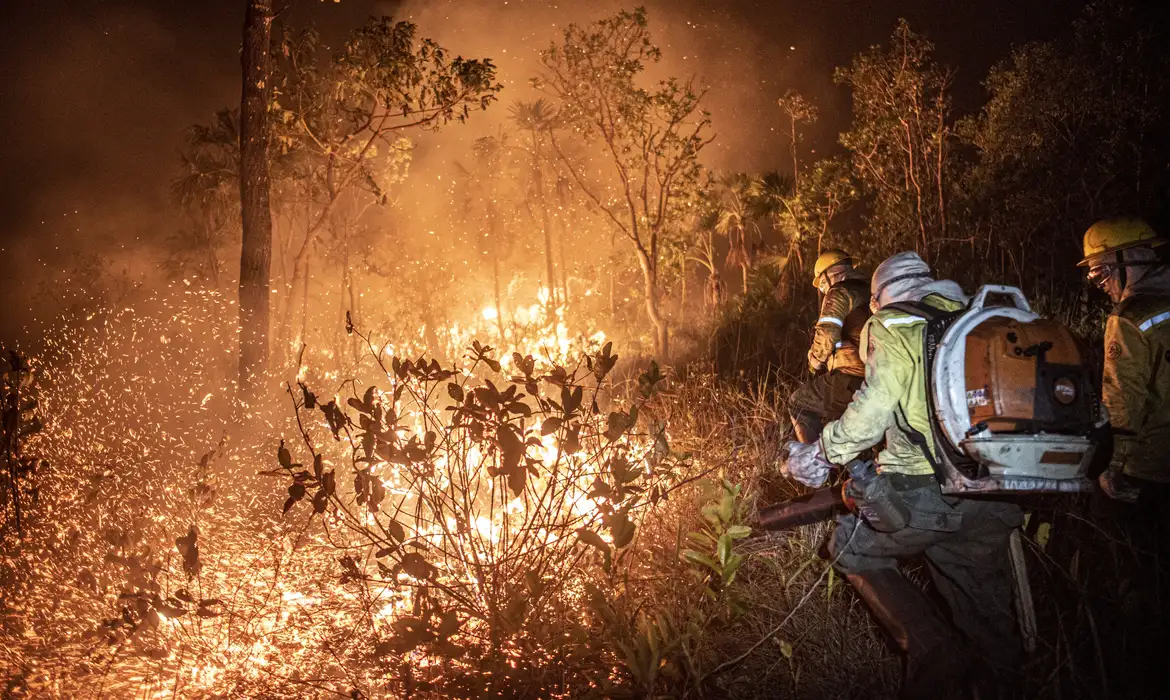 Você está visualizando atualmente CNA vê prejuízo de R$ 14,7 bi à agropecuária por incêndios entre junho e agosto