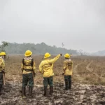 Dino estabelece orçamento de emergência para combate a incêndios