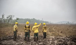 Leia mais sobre o artigo Dino estabelece orçamento de emergência para combate a incêndios