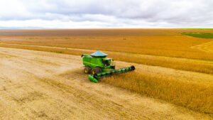 Leia mais sobre o artigo Com foco em Ásia e África, Brasil abre 200 mercados para o agro