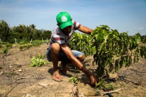 Leia mais sobre o artigo Fórum internacional debate o papel do agro na segurança alimentar