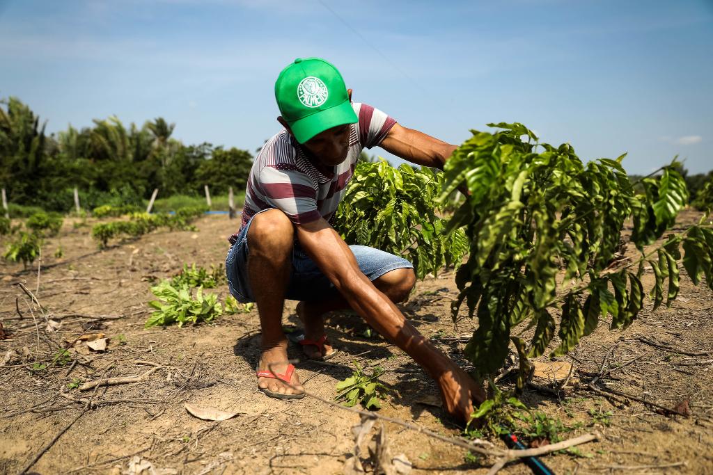 Você está visualizando atualmente Fórum internacional debate o papel do agro na segurança alimentar