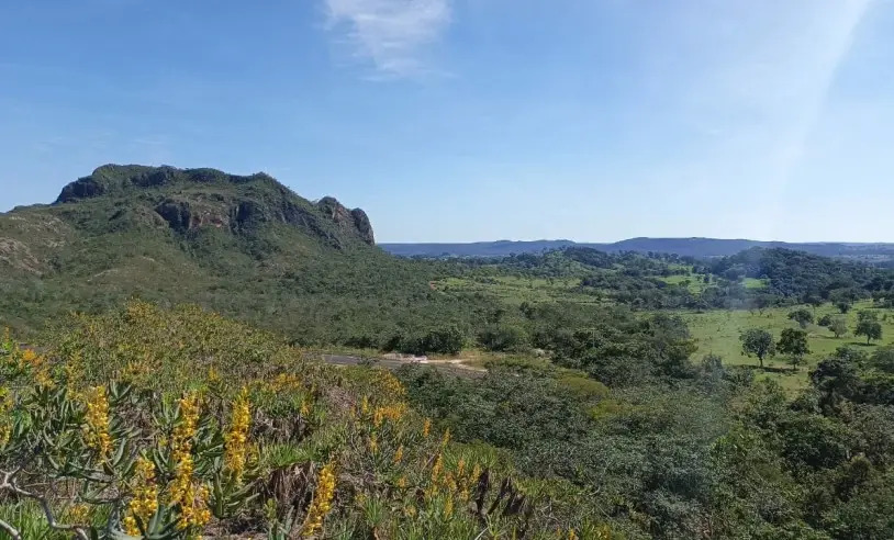 Você está visualizando atualmente Município de MT é o 4° com menor população do Brasil