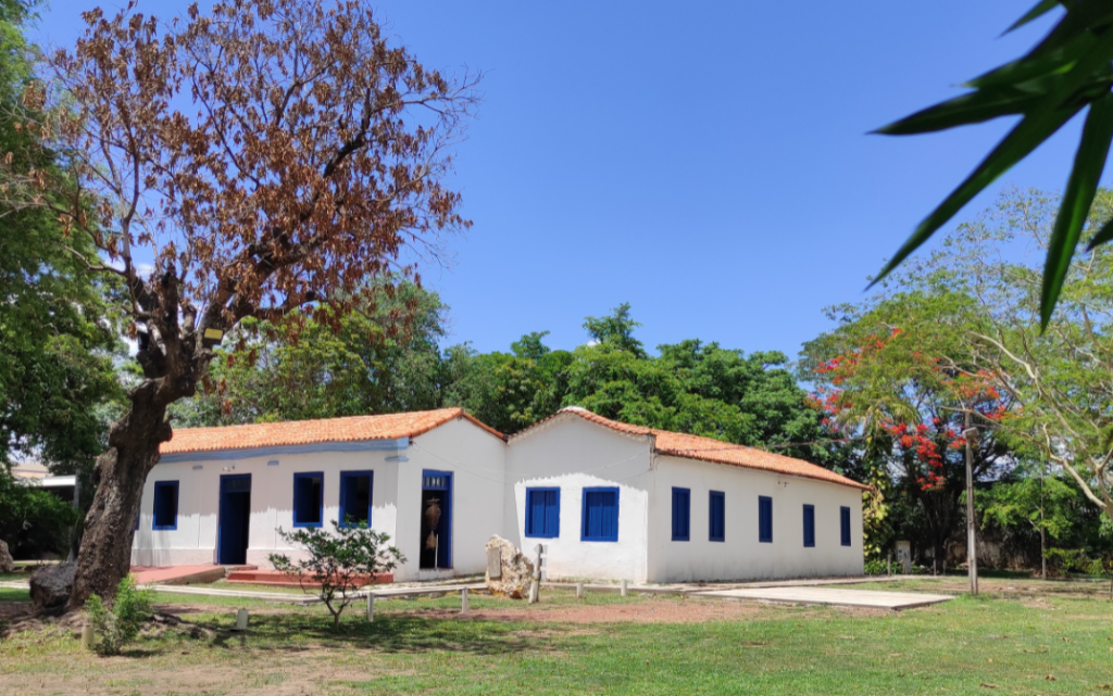 Você está visualizando atualmente Museu de História Natural de MT oferece atividades inclusivas em programação de evento nacional