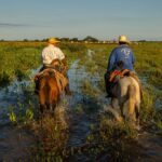 Programa Fazenda Pantaneira Sustentável irá expandir atendimentos a produtores