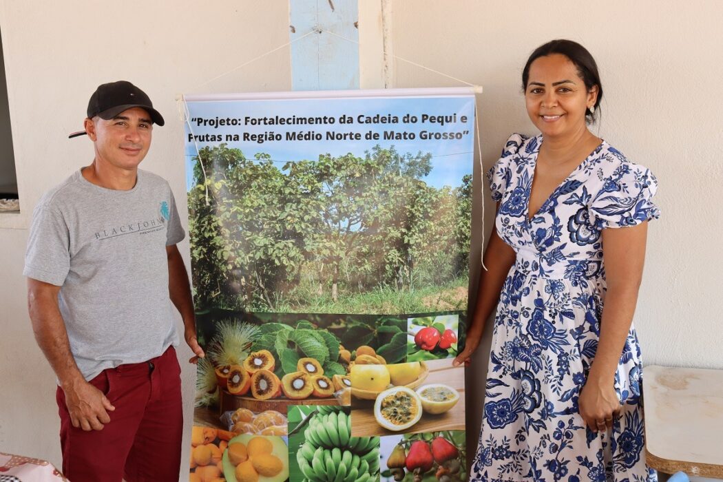 Você está visualizando atualmente Programa REM MT fortalece cadeia do pequi no norte de Mato Grosso