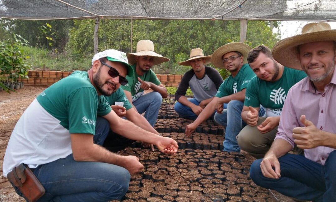 Você está visualizando atualmente Sistema Famato doará mudas em ação Raízes do Agro – Plantando o Futuro