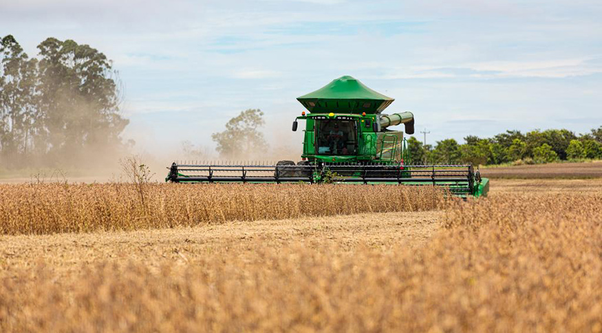 Você está visualizando atualmente Sorriso lidera ranking de produção agrícola pelo 5º ano seguido em 2023