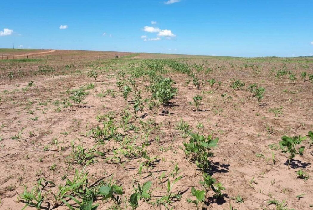 Você está visualizando atualmente Temperaturas podem ultrapassar 44°C neste fim de semana na zona da soja