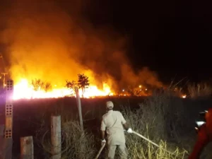 Leia mais sobre o artigo Terceira maior cidade de MT decreta emergência por causa de incêndios