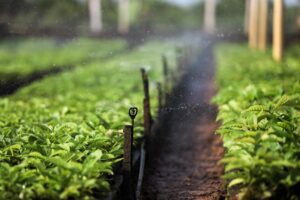 Leia mais sobre o artigo Termina o Vazio Sanitário e plantio de soja está liberado a partir de sábado