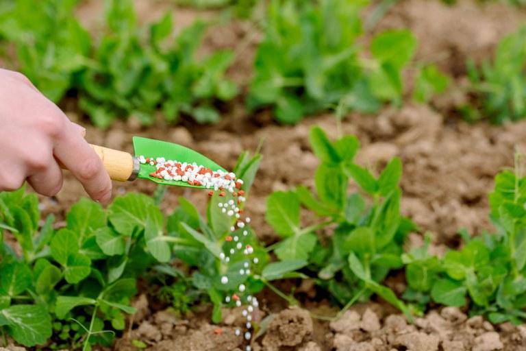 Você está visualizando atualmente Entregas de fertilizantes no Brasil atingem maior patamar do ano em Julho