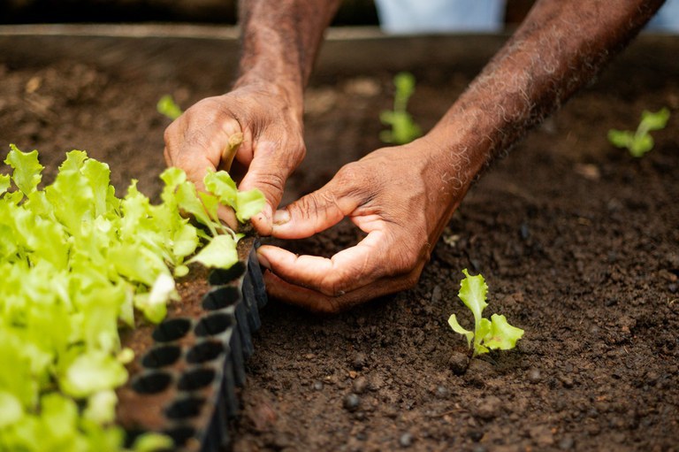 Você está visualizando atualmente Fomento Rural inclui mais de 2,7 mil famílias e paga R$ 10 milhões em outubro