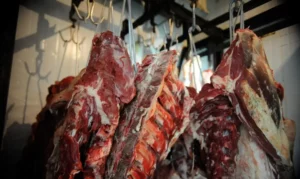 Leia mais sobre o artigo Marrocos isenta o Brasil do IVA na importação de carne bovina e ovina