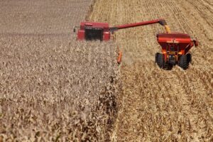 Leia mais sobre o artigo Mato Grosso lidera ranking dos municípios mais ricos do agro brasileiro