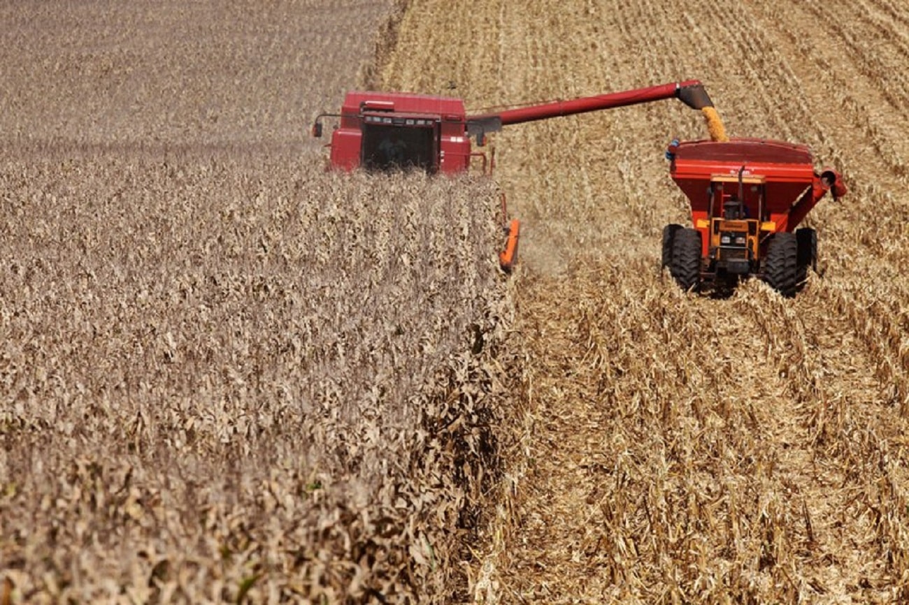 Você está visualizando atualmente Mato Grosso lidera ranking dos municípios mais ricos do agro brasileiro