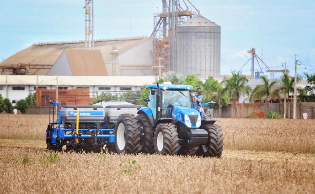 Você está visualizando atualmente Conheça projeto de verticalização da agricultura orgânica regenerativa