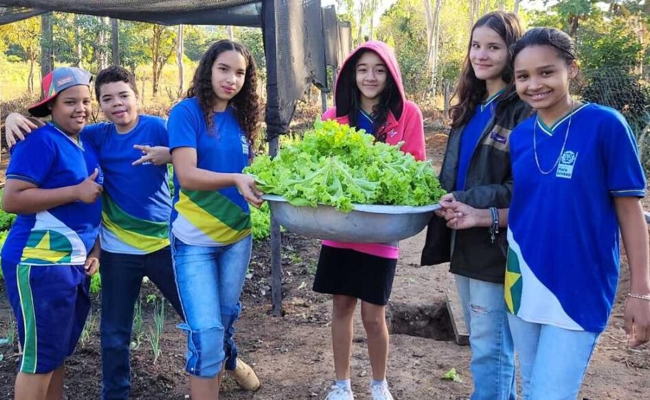 No momento, você está visualizando 2ª Semana da Agroecologia mostra a força da agricultura familiar de MT