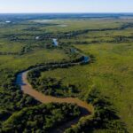 Dia do Pantanal destaca importância da preservação ambiental