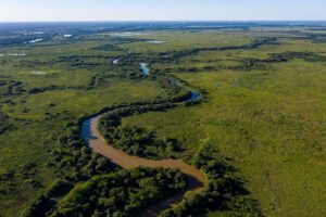 Leia mais sobre o artigo Dia do Pantanal destaca importância da preservação ambiental