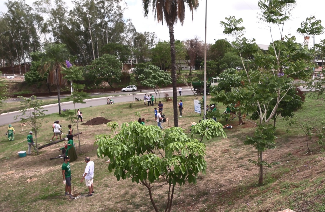 Você está visualizando atualmente Voluntários realizam o plantio de 400 mudas de árvores em Cuiabá