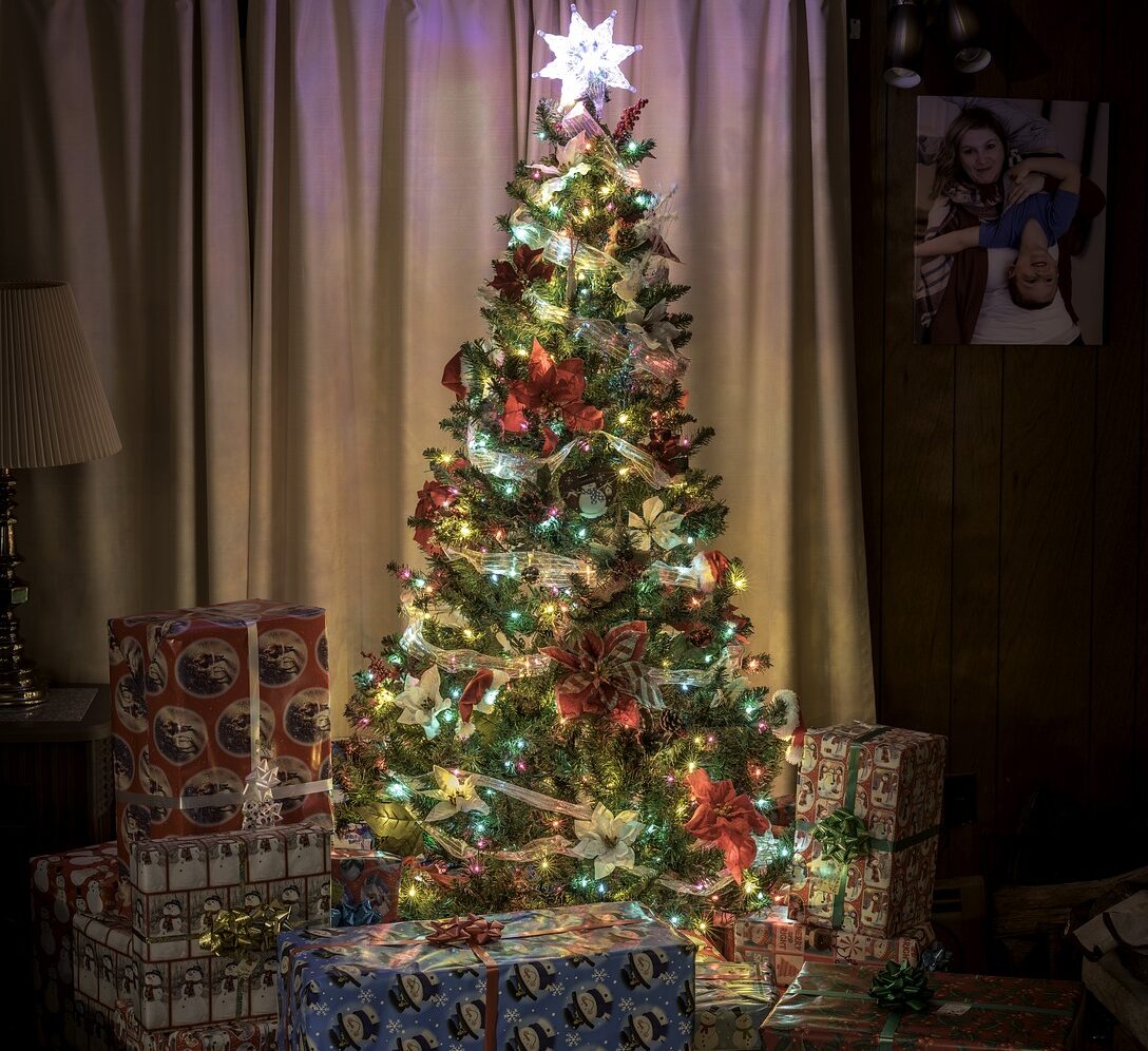 No momento, você está visualizando De paganismo à tradição; de onde vem a árvore de Natal?