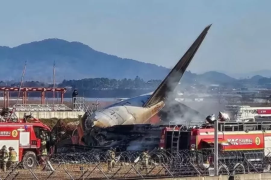 No momento, você está visualizando ‘Colisão com pássaro’; Piloto declarou emergência antes de bater na Coreia do Sul