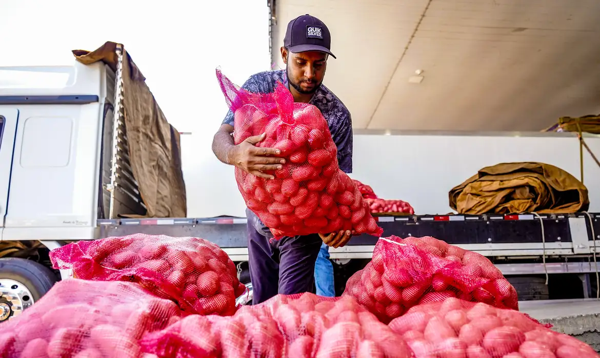 No momento, você está visualizando Conab aponta queda de preço da batata e alta da cebola e tomate