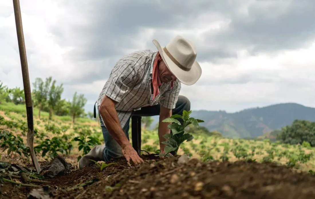 No momento, você está visualizando População empregada no agronegócio cresceu 2%