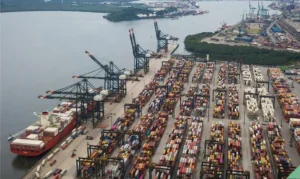 Leia mais sobre o artigo Brasil pode ganhar mercados com tarifaço de Trump, diz economista