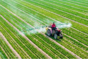 Leia mais sobre o artigo China cria plano para se tornar potência agrícola