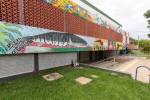 Leia mais sobre o artigo Cuiabá recebe Festival Paralímpico com foco na inclusão pelo esporte