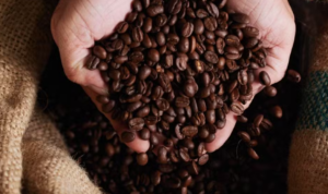 Leia mais sobre o artigo DIA DO CAFÉ: sabor, história e a tradição que vão do campo à mesa