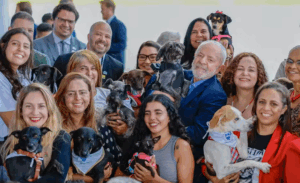 Leia mais sobre o artigo Governo lança cadastro nacional gratuito para cães e gatos