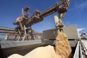 Leia mais sobre o artigo MT atinge recorde histórico de produtividade com soja, afirma Imea