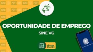 Leia mais sobre o artigo Sine-VG amplia atendimentos e oferta 350 vagas nesta semana
