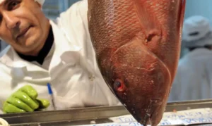 Leia mais sobre o artigo Várzea Grande garante 15 toneladas de peixe com qualidade e preço justo