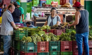Leia mais sobre o artigo Anvisa inicia monitoramento de resíduos de agrotóxicos em alimentos
