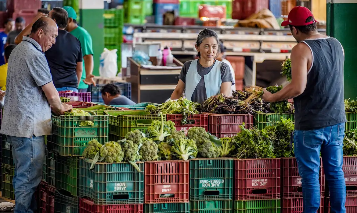 No momento, você está visualizando Anvisa inicia monitoramento de resíduos de agrotóxicos em alimentos