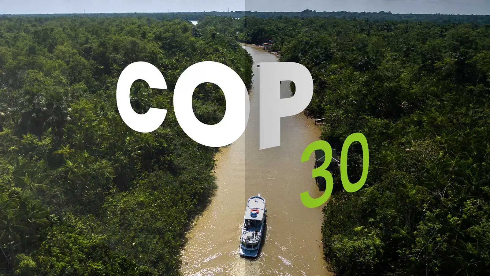 No momento, você está visualizando COP30: Brasil deve assumir protagonismo no mercado de carbono