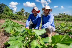 Leia mais sobre o artigo Governo de MT investiu R$ 720 milhões na agricultura familiar